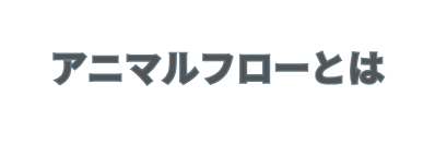 アニマルフローとは