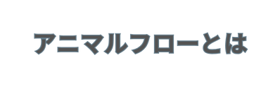 アニマルフローとは